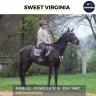 MAGNIFIQUE JUMENT - SWEET VIRGINIA - 6 ANS