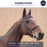 SUPERBE HONGRE - CHARLYCHIC - 6 ANS