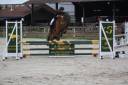 Pinette de 11 ans 1m48 loisirs ou cso P2