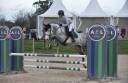 Poney de sport CSO Hunter 