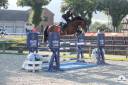 Belle jument de 7 ans de concours pour amateur