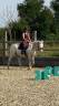 Cherokee, Cheval apaloosa 