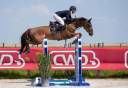 Top cheval pour young rider