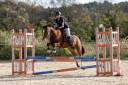 PONEY 149 WELSH / PFS 7 ANS CSO