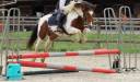 Poney 5 ans loisirs - club- compétition 