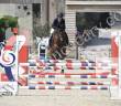 Cheval de famille, 6 ans idéal amateur cso 