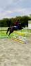 Top poney PFS Noir 