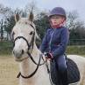 Ponette welsh pony