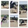 Poney D 5 ans potentiel CCE/CSO