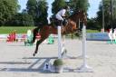 DP sur cheval de sport - Yvelines