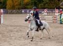 Poney D de sport 