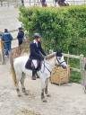 Bavallon de Moreton cheval de 14 ans CSO