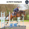 SUPERBE AQPS DE 4 ANS - LE PETIT MARQUIS