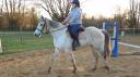 vends poney oncp femelle 1m57 11ans