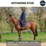 WITHMORE STAR - PS - 3 ANS