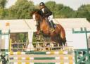 VENTE CHEVAL ( SBS) - HONGRE - 8 ans 