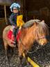 Stage équitation enfants de 6 à 15 ans 