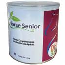 DistriHorse33 Horse Senior - Vieux Cheval