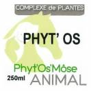 Phyt'Os - croissance , sénescence et convalescence