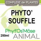 Phyto'Souffle - Troubles pulmonaires