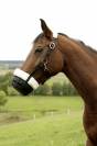 Muselière panier confortable - Pour poney Shetland