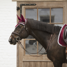 Bonnet Wellington Velvet Contrast - Kentucky