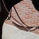 Martingale australienne avec bavette biothane - Tolteam