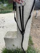 Martingale taille cob/pur sang