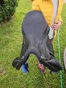 Sellede dressage forestier SAUMUR 17