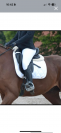 Selle dressage urgent