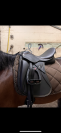 Selle de dressage Zaldi San Jorge Plana