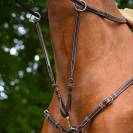 Martingale de Collier Monday et Tuesday