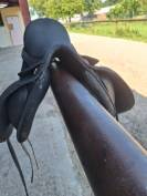 Wintec dressage 17