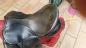 selle de dressage Stubben Juventus 17 pouces