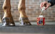 Liquid Hoof Dressing - Kevin Bacon