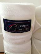 Bandes de polo FFE Lamicell