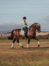 Tapis de dressage PISTACHIO WHITE - Equestrian Stockholm