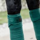 Bandes de polo Velvet  - Kentucky