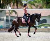 Tapis dressage Pink Lemonade - Equito