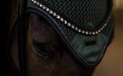 Bonnet anti-mouches Sycamore Green - Equestrian Stockholm