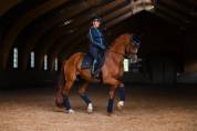 Tapis de dressage Modern Tech Navy - Equestrian Stockholm