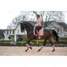 Bandes de polo BE TEMPTED Candyfloss - SD Design