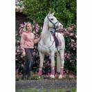 Bandes de polo BE TEMPTED Candyfloss - SD Design