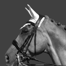 Bonnet cheval Equico