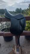 CDW dressage SE08