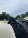 Selle Dressage ZALDI 16’5