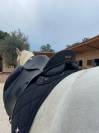 Selle Dressage ZALDI 16’5