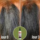 Soin pour la dermite Natural'Itch - Natural'Innov