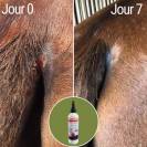 Soin pour la dermite Natural'Itch - Natural'Innov