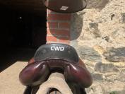 Selle CWD 2G 